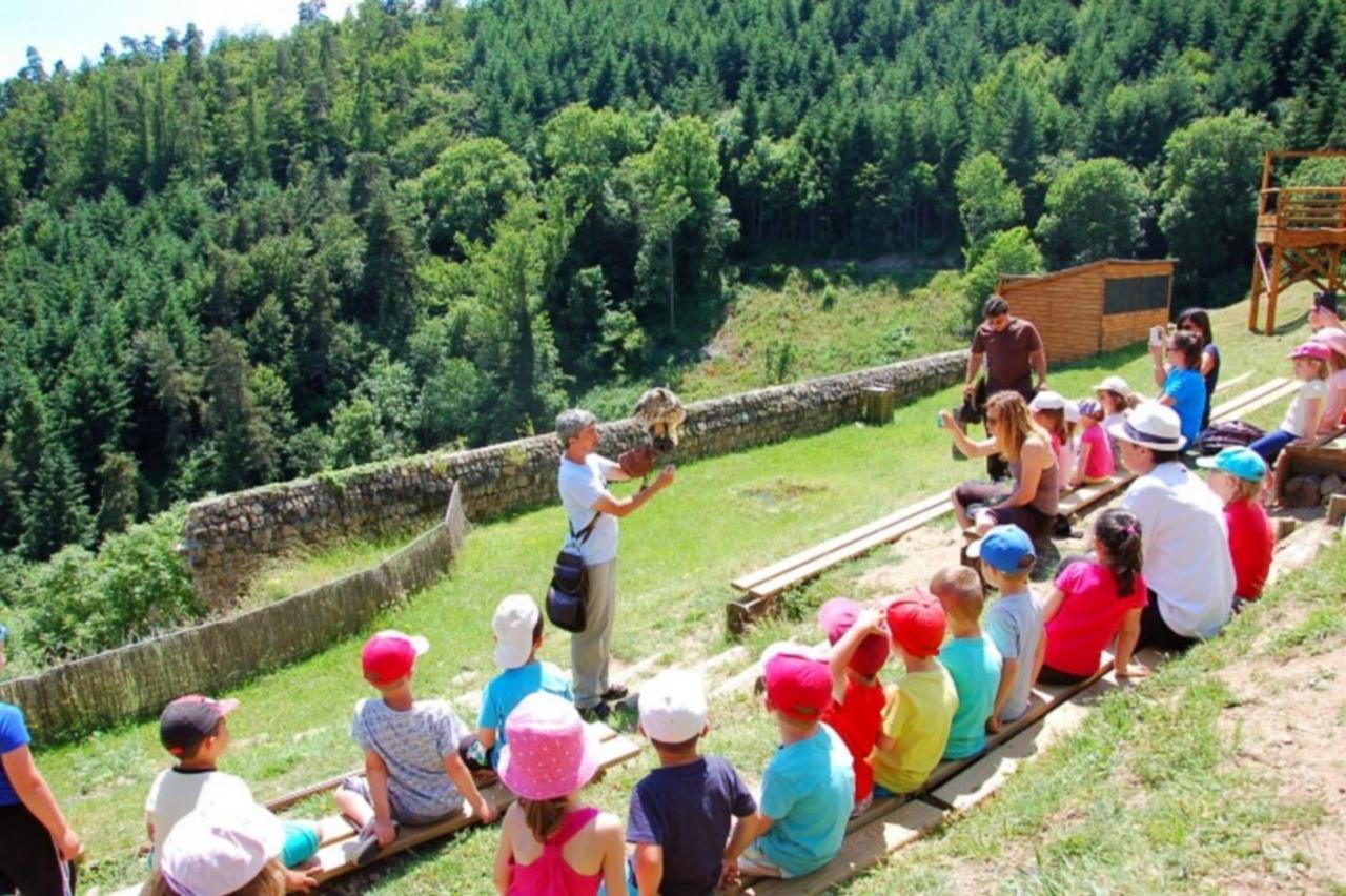 Saint-Pal-en-ChalenconBel'Horizon别墅 外观 照片
